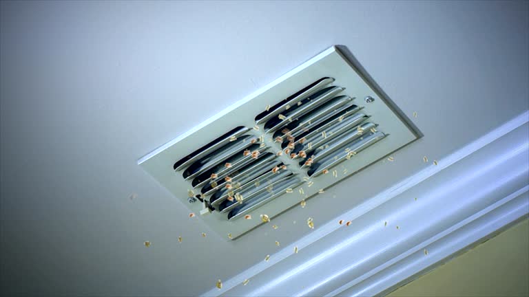 Best Air Duct Cleaning Near Me  in Hallstead, PA
